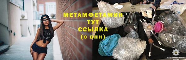 PSILOCYBIN Лиски