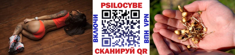 цена   Емва  Псилоцибиновые грибы Psilocybe 
