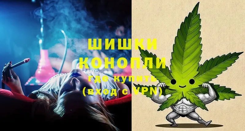 где можно купить наркотик  Емва  Бошки Шишки White Widow 